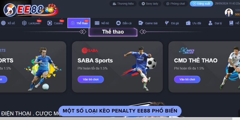 Một số loại kèo penalty ee88 phổ biến